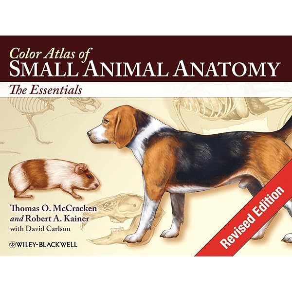 Small Animal Dermatology: A Color Atlas and Therapeutic
